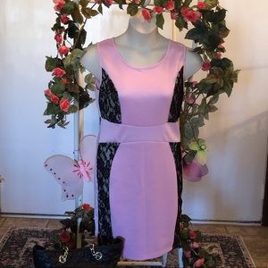 H.G.B.G Pink/Black Fitted Sleeveless Plus Dress 1x